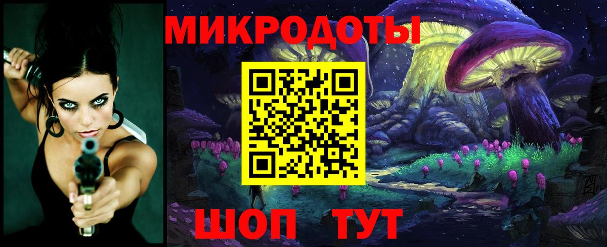Псилоцибиновые грибы Psilocybine cubensis Родники