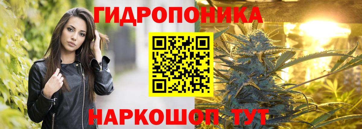 Каннабис сатива  Каннабис Amnesia  Вход с VPN  Конопля LSD WEED  Родники 